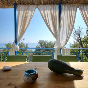 Villa Azzurra, balcone sul Mar Ionio e sotto gli ulivi centenari